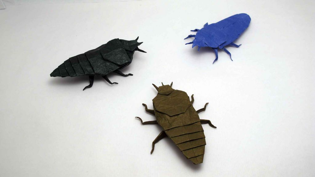 Peluquería piojos Gijón