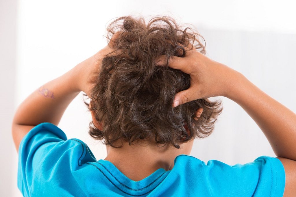 Por qué resisten los piojos